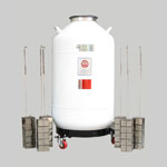 YDS-100B-200运输储存型液氮罐 