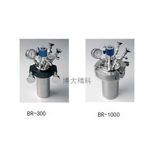 德国JULABO BR-1000 高压反应小量套装 