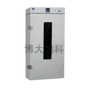 DHG-9420A 立式鼓风烘箱/干燥箱/干燥柜 