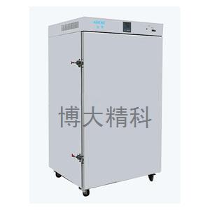 DHG-9920A 立式鼓风烘箱/干燥箱/干燥柜 