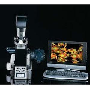 Leica-德国莱卡 DMI 4000B半自动倒置生物显微镜